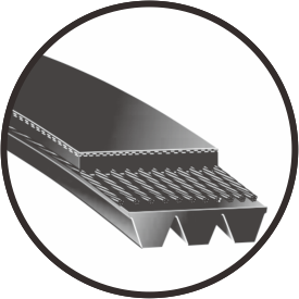 Automotive Ribbed belts